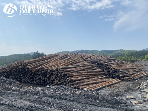 河道打樁為什么選擇松木樁來處理軟地基？-松木樁施工使用范圍